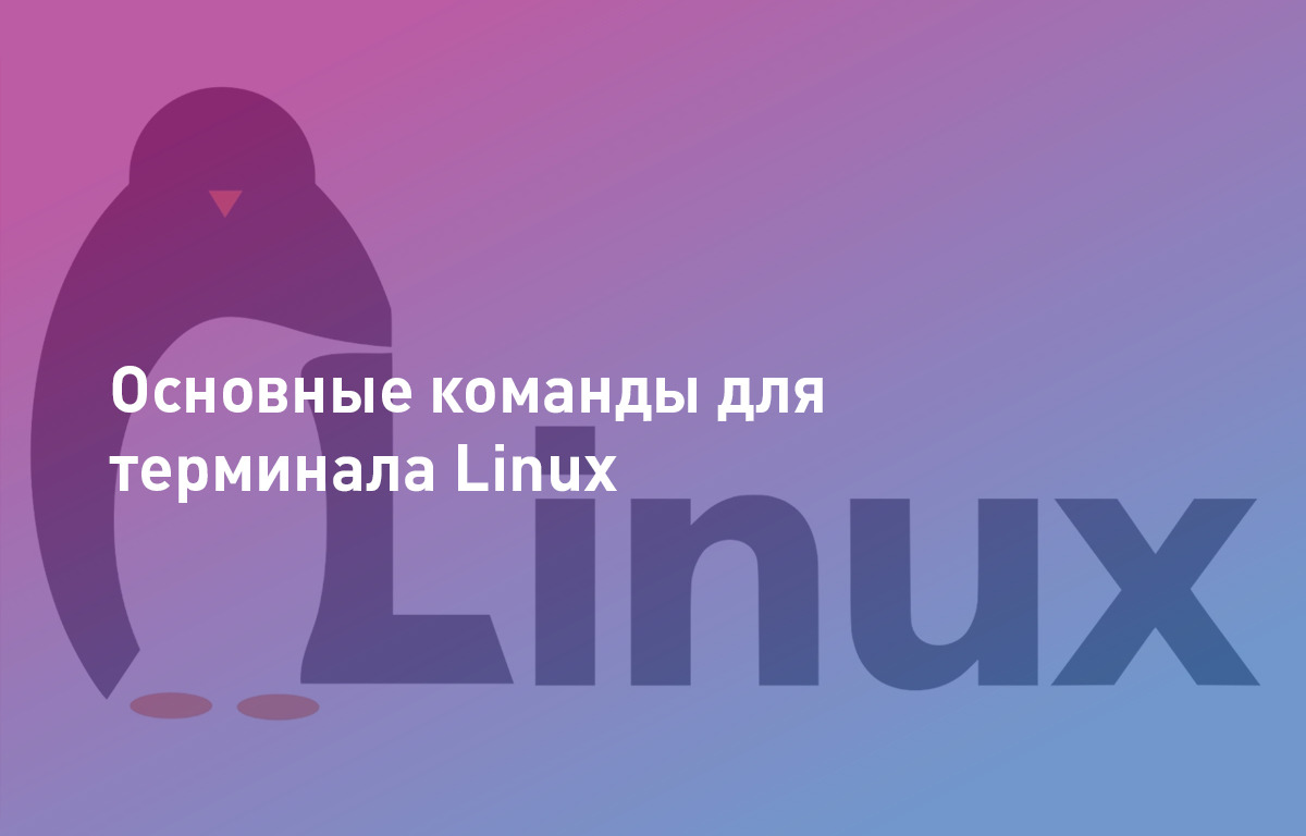 Основные команды для терминала Linux
