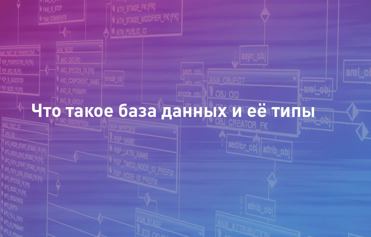Что такое база данных и её типы