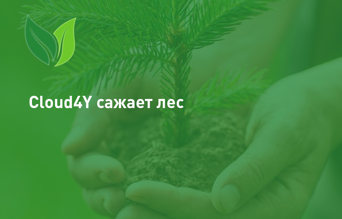 Cloud4U сажает лес
